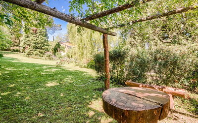 Campagnano Di Roma 20: Albero, Proprietà, Erba, Tronco, Immobiliare, Woody Impianto, Woodland, Foresta, Tavolo, Pianta