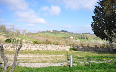 Capannino: Lotto, Pascolo, Prato, Erba, Albero, Graminacee, Area Rurale, Cielo, Pascolo, Primavera