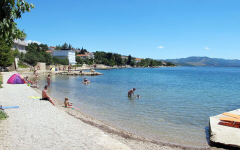 Mare