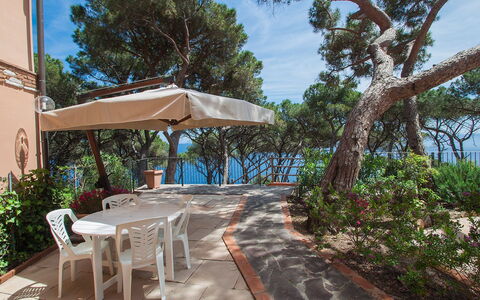 Rio Marina 400: Proprietà, Immobiliare, Albero, Costruzione, Ricorrere, Casa, Vacanza, Shade, Cielo, Casa