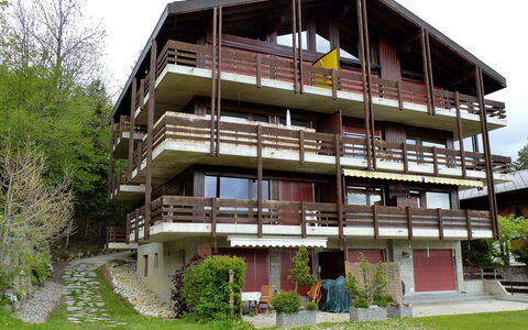 Ovronnaz 119: Pianta, Cielo, Costruzione, Finestra, Albero, Lotto, Casa, Urban Design, Zona Residenziale, Legna