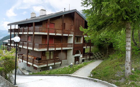 Ovronnaz 119: Casa, Proprietà, Architettura, Costruzione, Immobiliare, Casa, Zona Residenziale, Estate, Albero, Facciata