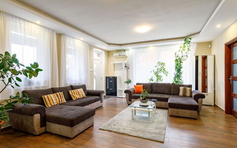 Sunshine: Mobilia, Divano, Pianta, Proprietà, Pianta Della Casa, Cornice, Interior Design, Comfort, Legna, Soggiorno