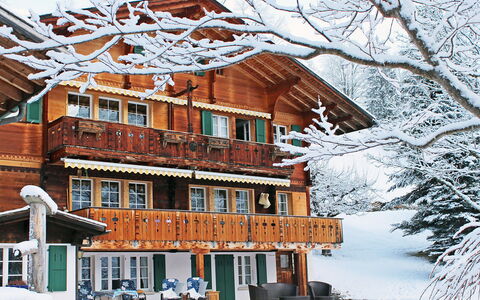Chalet Jrene: Costruzione, Cielo, Neve, Finestra, Albero, Mondo, Ramoscello, Casa, Zona Residenziale, Congelamento