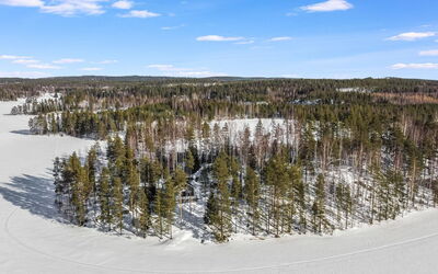 Naurisniemi