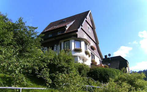 Triberg 100: Cielo, Costruzione, Proprietà, Pianta, Nube, Finestra, Casa, Vegetazione, Erba, Paesaggio Naturale
