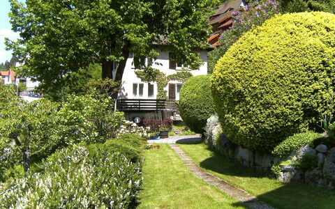 Triberg 100: Pianta, Proprietà, Comunita 'Impianto, Costruzione, Foglia, Natura, Paesaggio Naturale, Albero, Finestra, Botanica