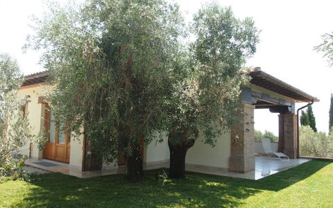 Villa Dei Cipressi: Proprietà, Albero, Casa, Casa, Immobiliare, Costruzione, Erba, Cortile, Woody Impianto, Pianta