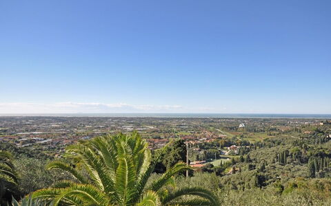 Villa Camaiore: Vegetazione, Cielo, Albero, Comunita 'Impianto, Shrubland, Botanica, Palma, Orizzonte, Pianta, Collina