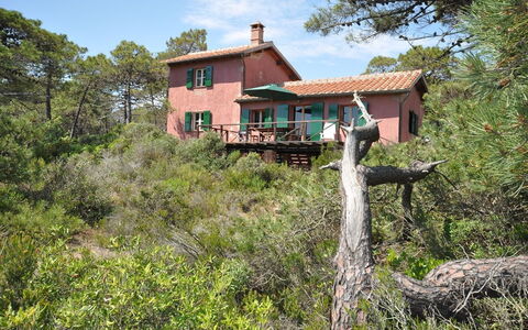 Casamare: Proprietà, Casa, Albero, Costruzione, Villetta, Immobiliare, Area Rurale, Casa, Architettura, Paesaggio