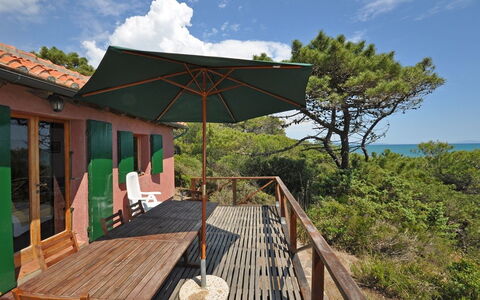 Casamare: Natura, Proprietà, Riserva Naturale, Paesaggio Naturale, Casa, Albero, Casa, Costruzione, Immobiliare, Architettura