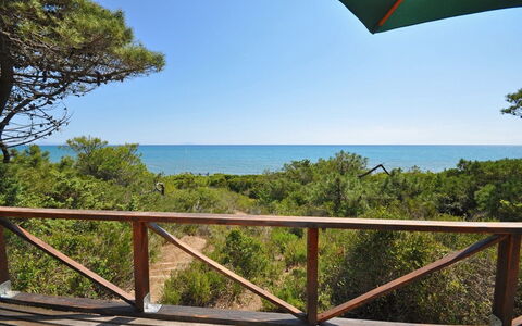 Casamare: Proprietà, Vegetazione, Cielo, Immobiliare, Riserva Naturale, Vacanza, Albero, Casa, Oceano, Balcone
