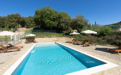 Villa Nova: Piscina, Proprietà, Immobiliare, Tempo Libero, Casa, Acqua, Vacanza, Estate, Villa, Albero