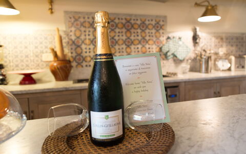 Villa Nova: Bevanda, Champagne, Vino, Bevanda Alcolica, Bottiglia Di Vetro, Bottiglia, Bottiglia Di Vino, Liquore