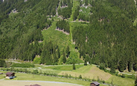 Neustift im Stubaital 410: Pianta, Natura, Paesaggio Naturale, Albero, Highland, Pendenza, Lotto, Montagna, Biome, Larice