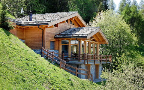 Chalet Arvine: Proprietà, Costruzione, Pianta, Finestra, Casa, Paesaggio Naturale, Albero, Legna, Villetta, Pendenza
