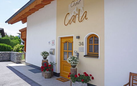 Carla: Pianta, Fiore, Proprietà, Costruzione, Vaso Di Fiori, Pianta Della Casa, Parete, Casa, Cielo, Pavimentazione