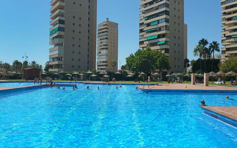 Playamar: Acqua, Costruzione, Cielo, Proprietà, Giorno, Grattacielo, Pianta, Piscina, Blu, Albero