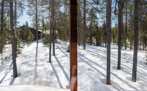Katajarinne B: Neve, Legna, Inverno, Villetta, Casa, Tetto, Casa, Congelamento, Log Cabin, Ramoscello