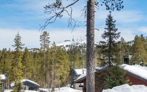 Katajarinne B: Neve, Legna, Inverno, Villetta, Casa, Tetto, Casa, Congelamento, Log Cabin, Ramoscello