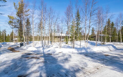 Mustalampi 5 Satakieli: Blu, Ramo, Inverno, Legna, Neve, Congelamento, Foresta, Ramoscello, Larice