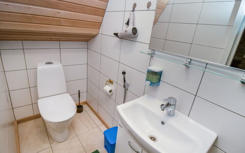 Tuiskukuru B: Idraulico Fixture, Pavimentazione, Pavimento, Bagno, Gabinetto, Lavandino Del Bagno, Interior Design, Lavello, Idraulico, Rubinetto