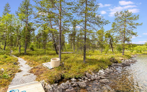 Villa Goskanjavri: Verde, Ambiente Naturale, Natura, Vegetazione, Paesaggio Naturale, Banca, Comunita 'Impianto, Natura Selvaggia, Foresta