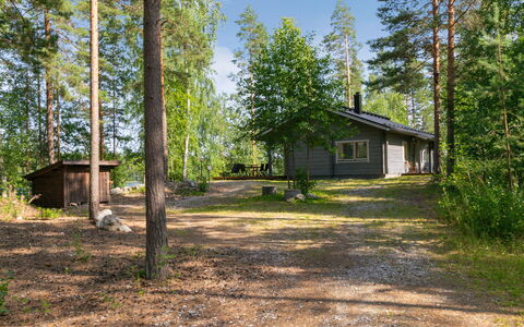 Hot Pool Cottage Iitu: Albero, Legna, Villetta, Woodland, Comunita 'Impianto, Lotto, Foresta, Tronco, Edifici Giardino