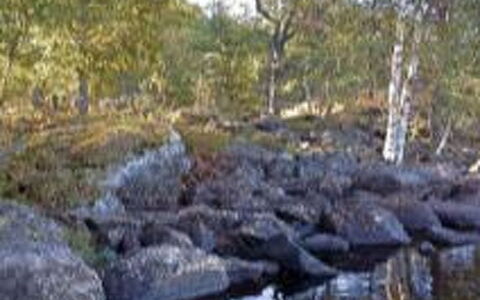 Louhiranta: Albero, Banca, Casa, Villetta, Lago, Stagno, Foresta, Log Cabin