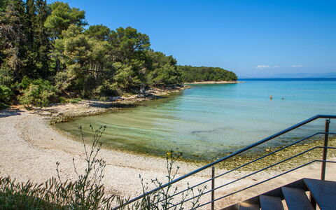 Silvija: Acqua, Pianta, Costruzione, Giorno, Proprietà, Cielo, Piscina, Azzurro, Albero, Corpo D'Acqua