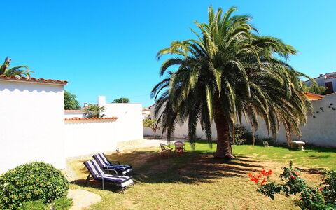 Alberes: Pianta, Cielo, Costruzione, Shade, Arecales, Vegetazione, Erba, Paesaggio, Immobiliare, Albero