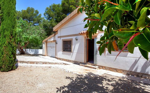 Villa Palma: Pianta, Costruzione, Cielo, Albero, Finestra, Casa, Villetta, Legna, Manto Stradale, Immobiliare