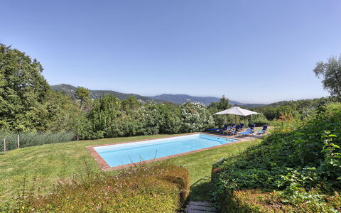 Le Pergole: Paesaggio Naturale, Proprietà, Piscina, Immobiliare, Riserva Naturale, Estate, Casa, Paesaggio, Area Rurale, Erba