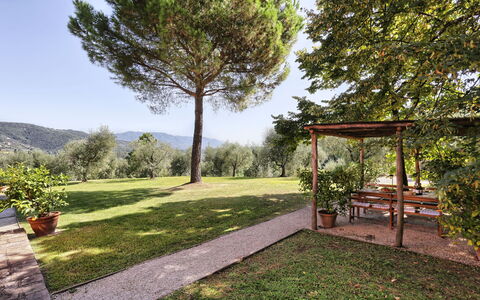 Le Pergole: Proprietà, Immobiliare, Paesaggio Naturale, Albero, Casa, Erba, Giardino, Casa, Botanica, Cortile