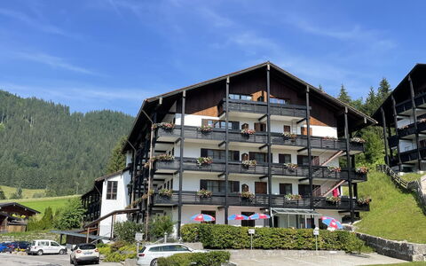 Berchtesgaden 300: Pianta, Mobilia, Proprietà, Finestra, Sedia, Costruzione, Legna, Illuminazione, Vaso Di Fiori, Architettura