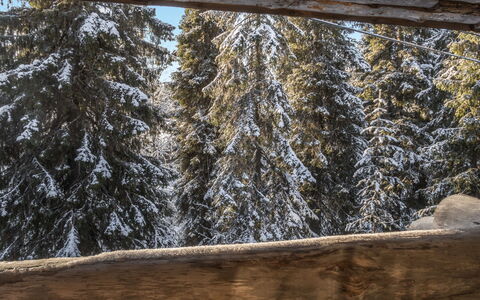 Nousujohde C1: Neve, Legna, Inverno, Villetta, Casa, Tetto, Casa, Congelamento, Log Cabin, Ramoscello