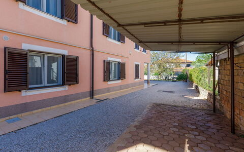 Bruno: Proprietà, Finestra, Costruzione, Manto Stradale, Shade, Legna, Pianta, Brick, Parete, Asfalto