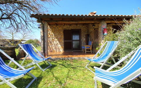 Funghi 1: Proprietà, Casa, Costruzione, Villetta, Albero, Villa, Backyard, Immobiliare, Tempo Libero, Casa
