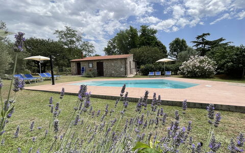 Funghi 1: Nube, Pianta, Cielo, Acqua, Fiore, Piscina, Albero, Erba, Paesaggio Naturale, Tempo Libero