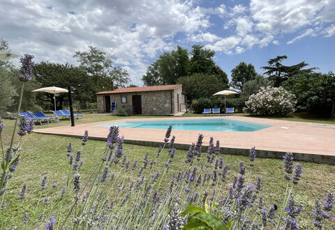 Funghi 1: Nube, Pianta, Cielo, Acqua, Fiore, Piscina, Albero, Erba, Paesaggio Naturale, Tempo Libero