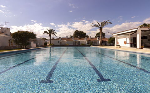 Salvagina 53: Cielo, Acqua, Nube, Pianta, Piscina, Luce, Azzurro, Albero, Arecales, Corpo D'Acqua