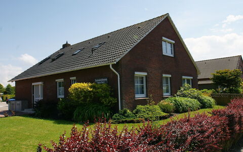 Norddeich 781: Pianta, Cielo, Nube, Costruzione, Finestra, Proprietà, Fiore, Casa, Botanica, Vegetazione