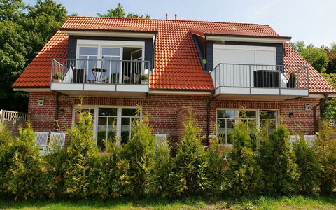 Norddeich 803: Pianta, Cielo, Costruzione, Finestra, Albero, Legna, Casa, Vegetazione, Lotto, Villetta