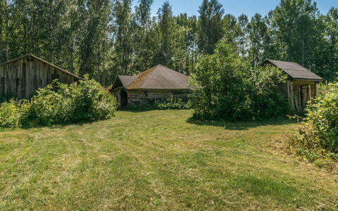 Rauhalinna: Villetta, Casa, Casa, Edifici Giardino, Raccordo, Log Cabin, Agriturismo, Estate, Capannone, Cortile