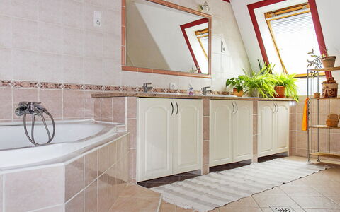 Colore: Rubinetto, Idraulico Fixture, Costruzione, Proprietà, Cabinetry, Rettangolo, Controsoffitto, Legna, Pianta, Bagno
