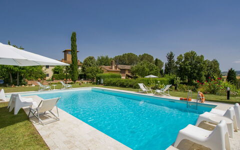 Aurelia: Acqua, Cielo, Piscina, Mobilia, Pianta, Azzurro, Albero, Lettino, Sedia, Mobili Da Esterno