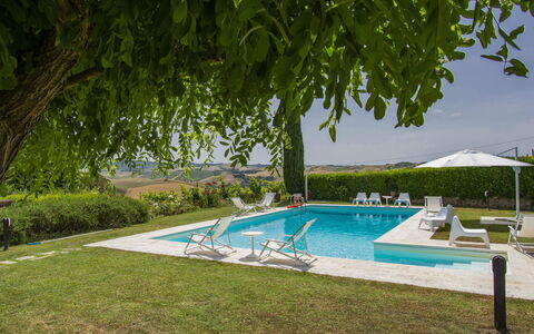 Aurelia: Acqua, Pianta, Piscina, Azzurro, Shade, Albero, Mobili Da Esterno, Cielo, Corpo D'Acqua, Erba