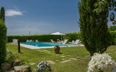 Aurelia: Pianta, Acqua, Cielo, Piscina, Ombrello, Albero, Fiore, Nube, Erba, Shade