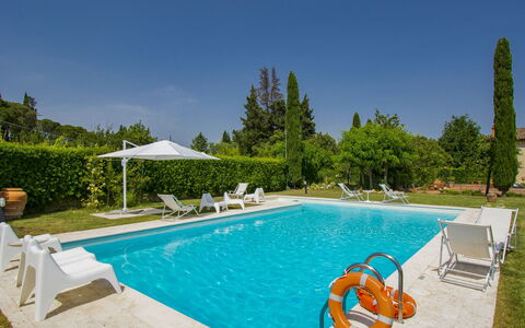 Aurelia: Acqua, Pianta, Proprietà, Cielo, Piscina, Natura, Azzurro, Albero, Mobili Da Esterno, Shade