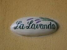 Alloggio:&nbsp;Lavanda